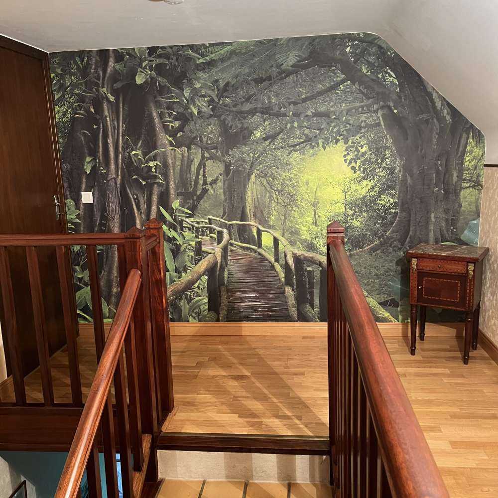 Träbro till och med en grön djungel