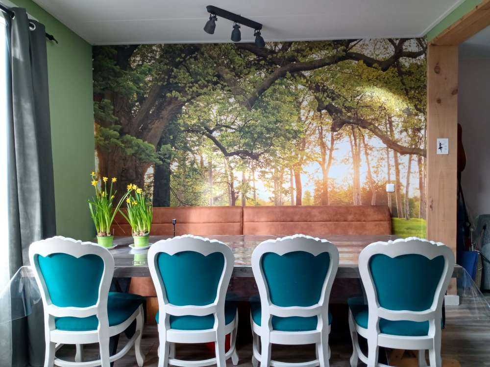 Åpen plass i skogen