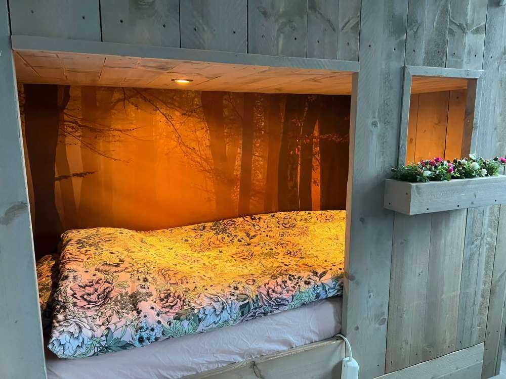 Mystisk høstskog