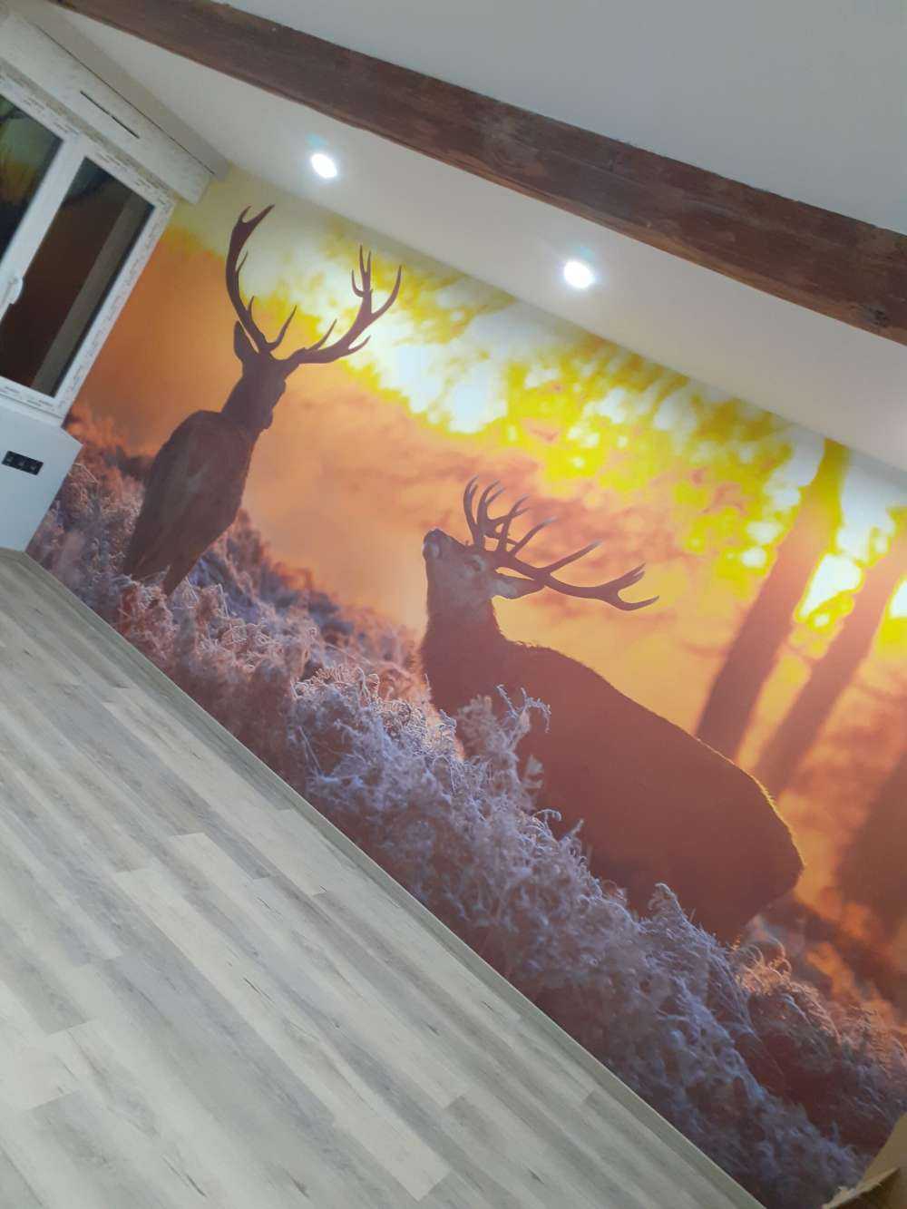 Herten bij zonsondergang