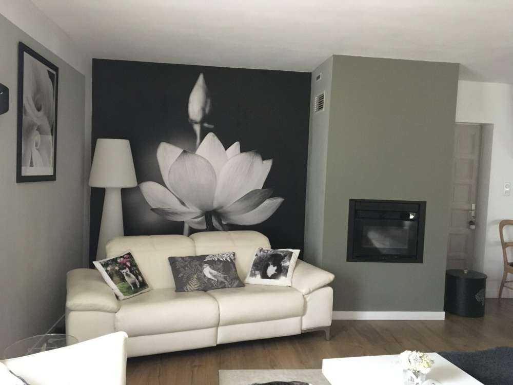 Lotus blommar svartvitt