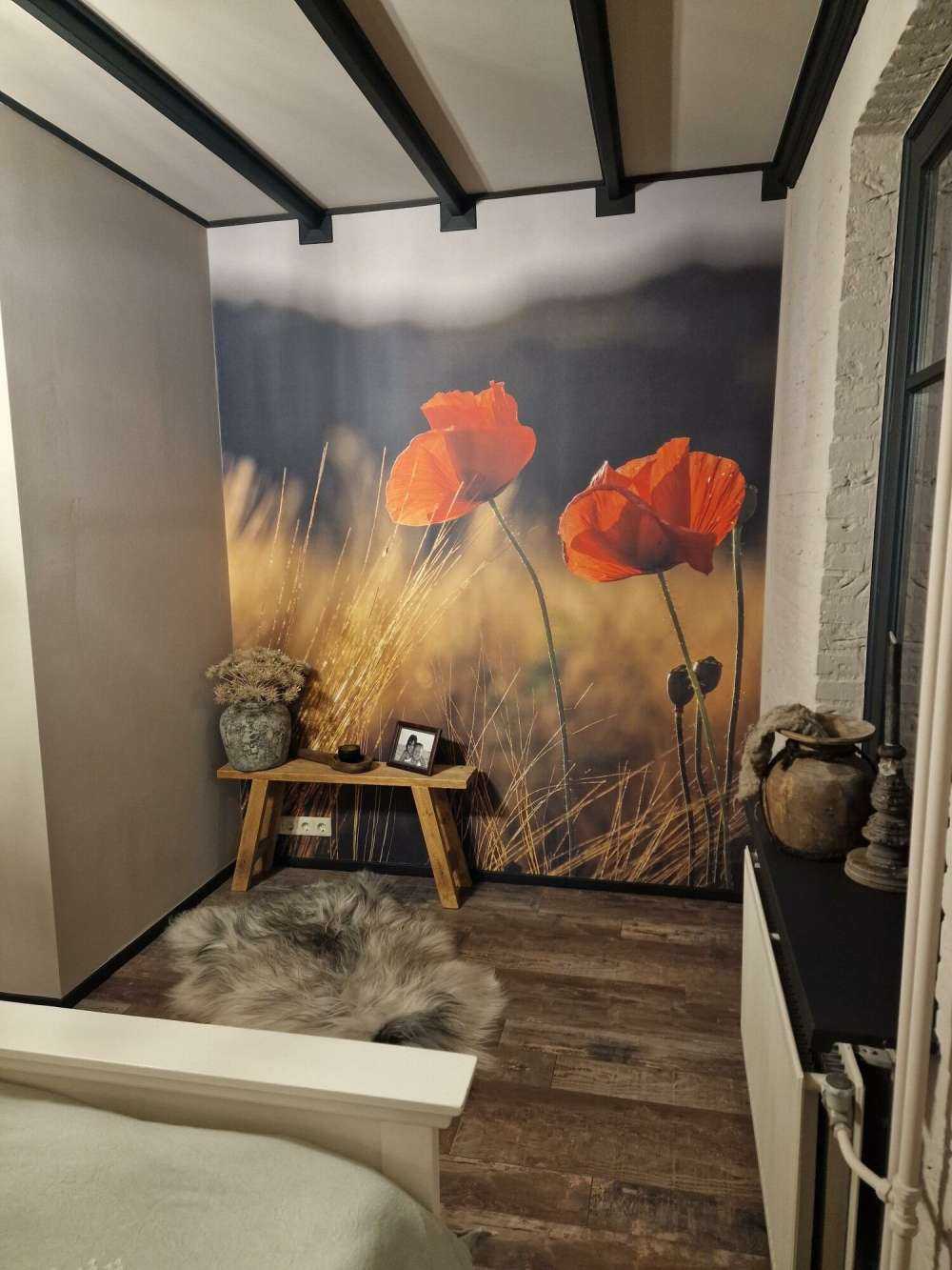 Vallmo i ett vetefält