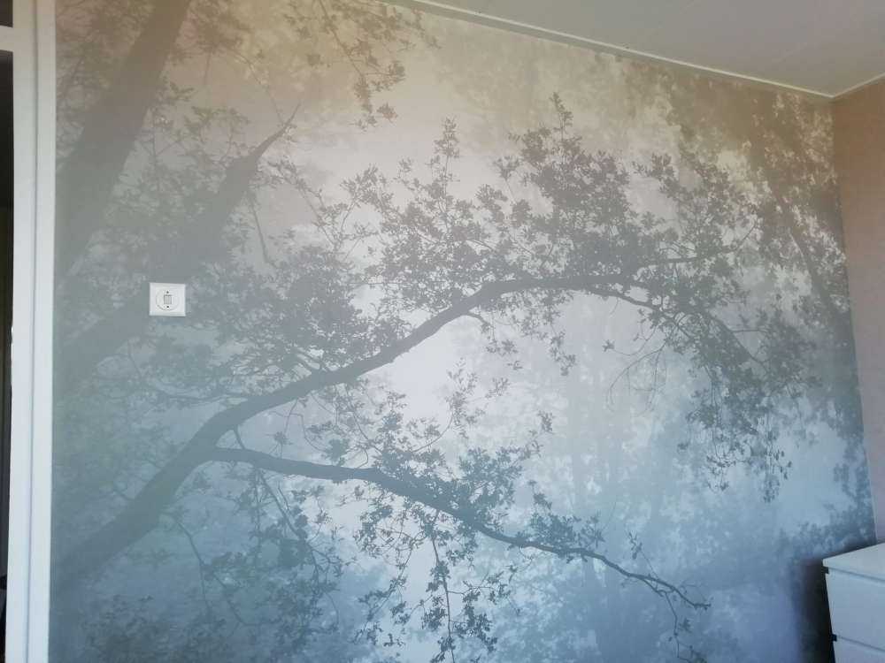 Vacker skog i dimman