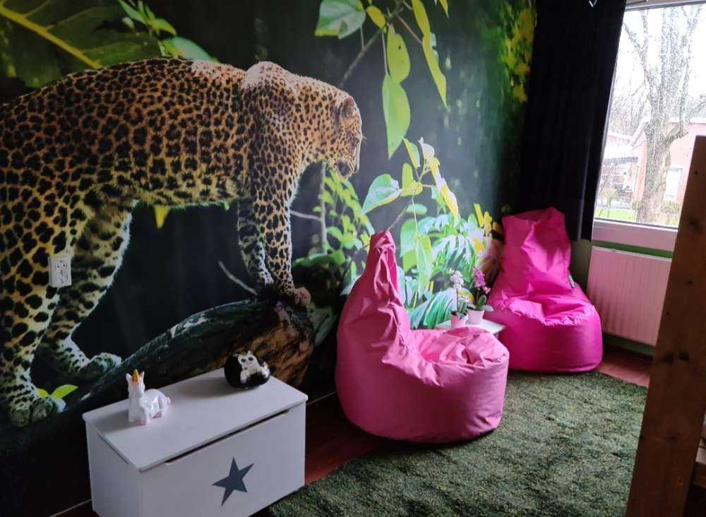 Leopard på en klippa