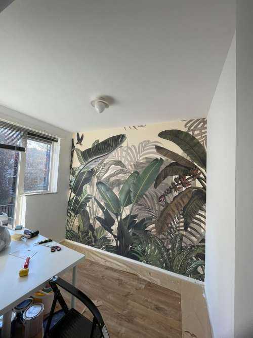 Planter i jungelen