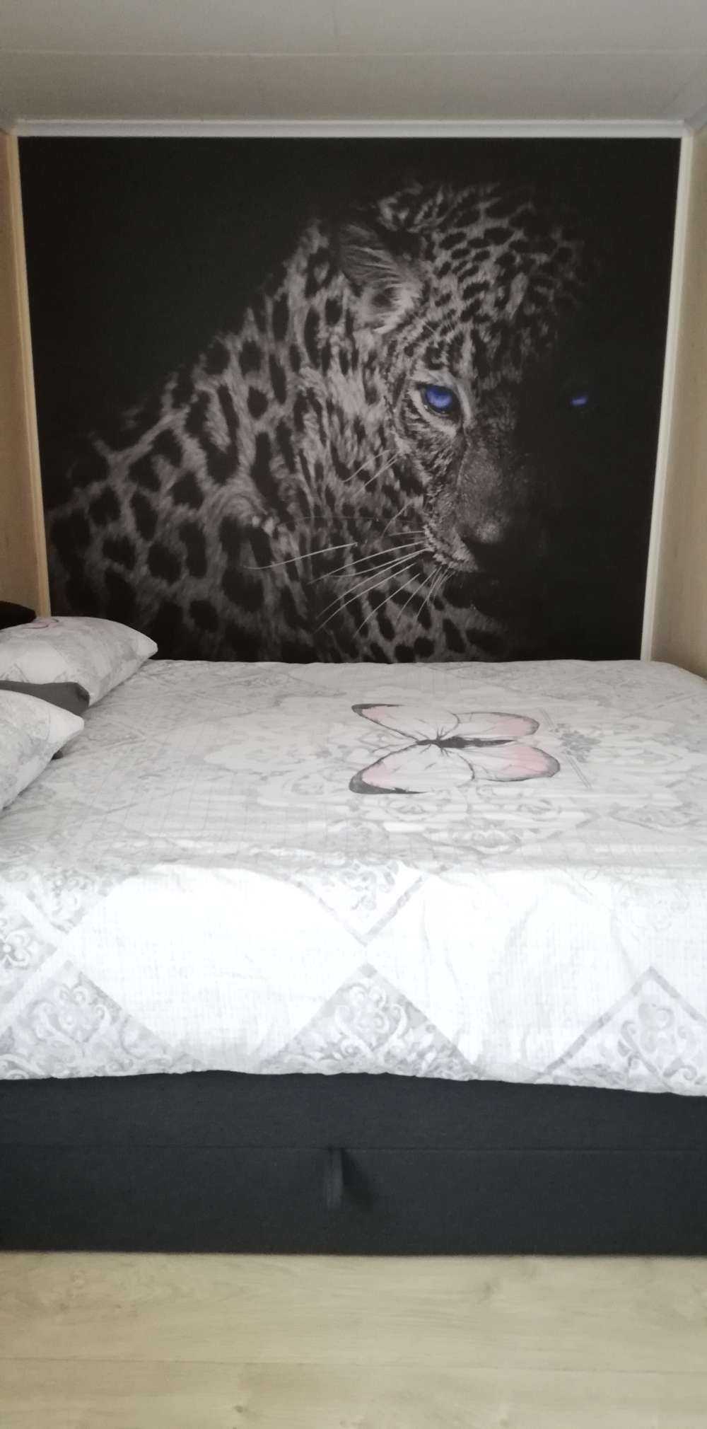 Leopard på svart tapet