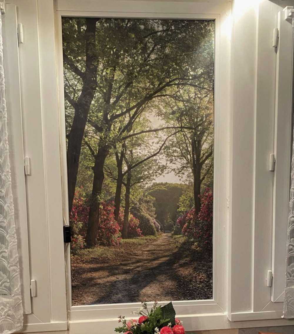 Soloppgang med sti med rododendroner