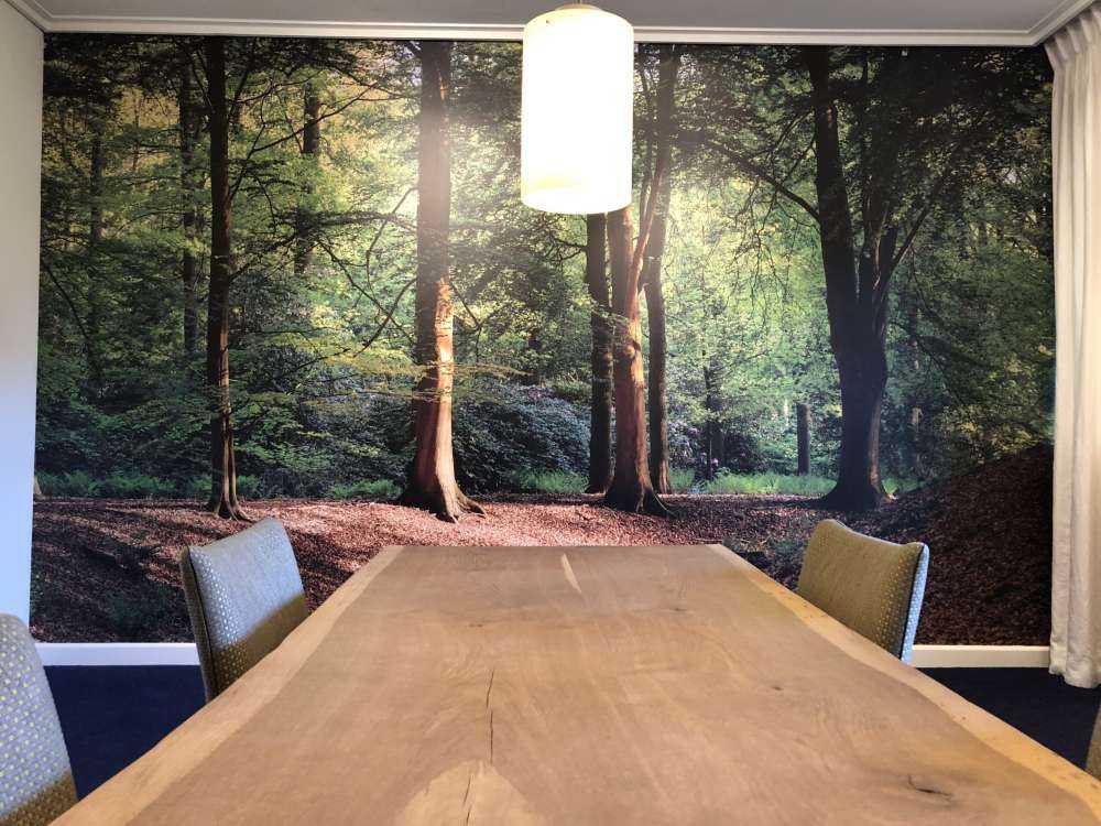 Brooklet i skogen
