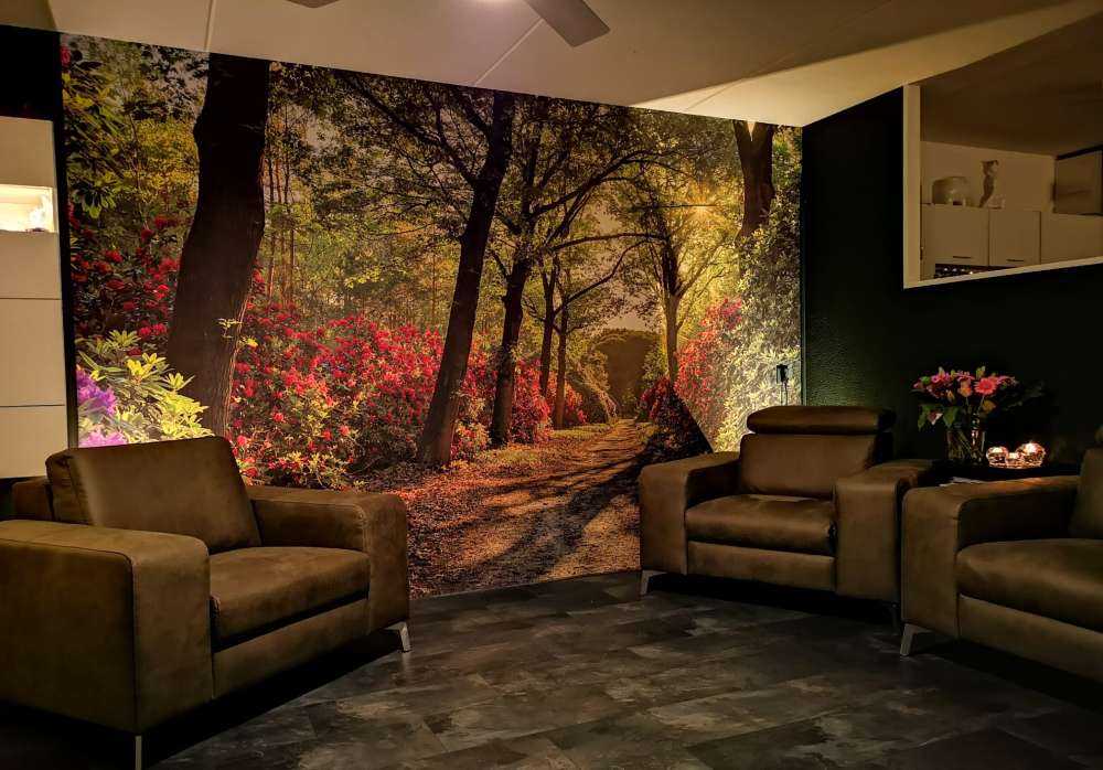 Soloppgang med sti med rododendroner