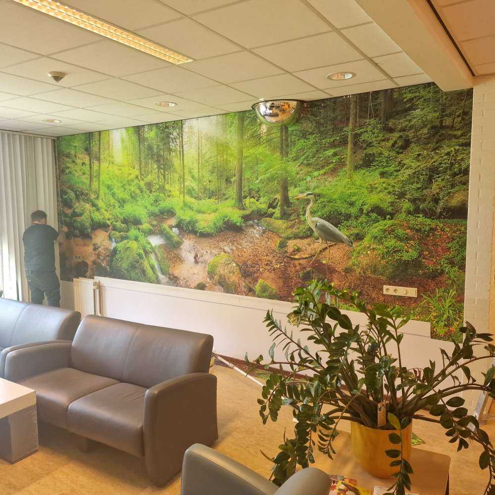 Fortryllende skoglandskapp
