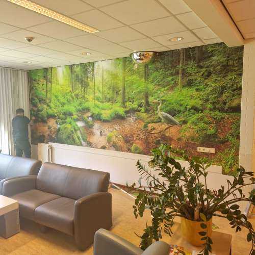 Fortryllende skoglandskapp