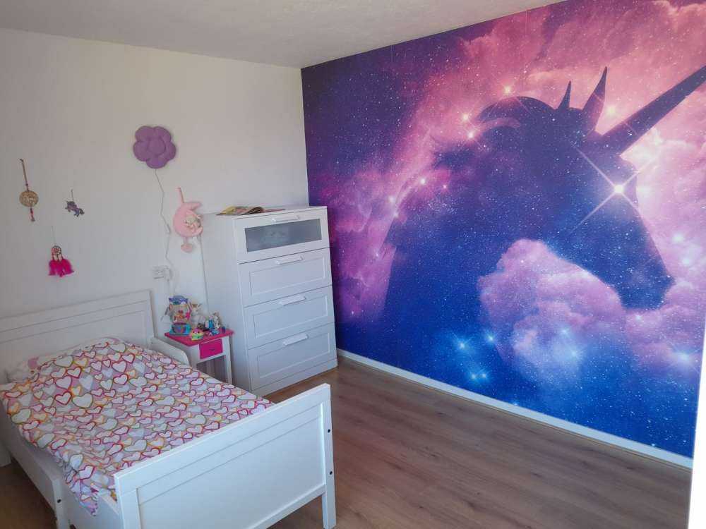 enhjørning silhuett