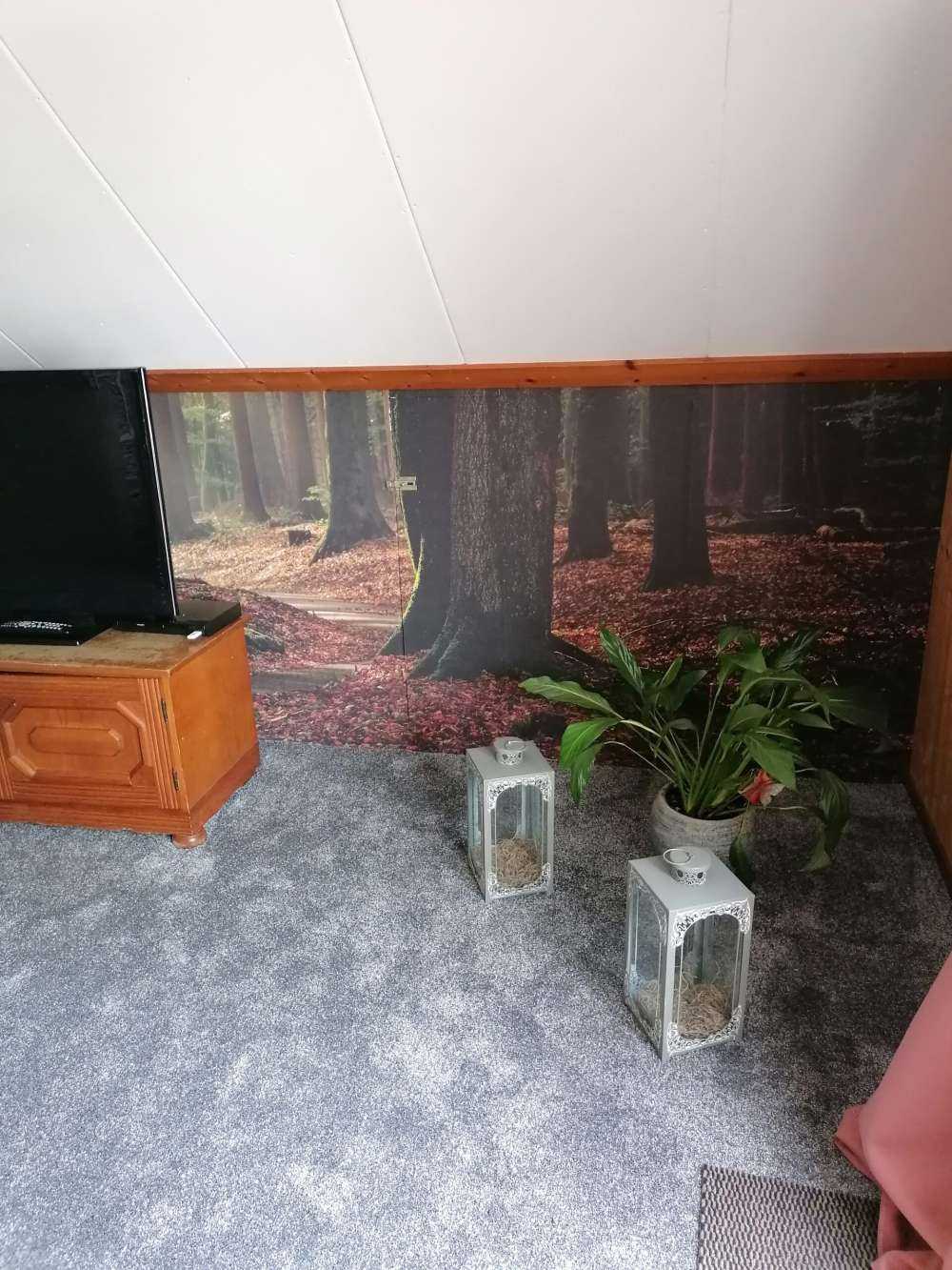 Solstråler på sti gjennom skogen