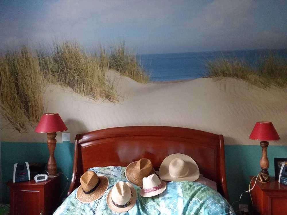 Klitgang til stranden