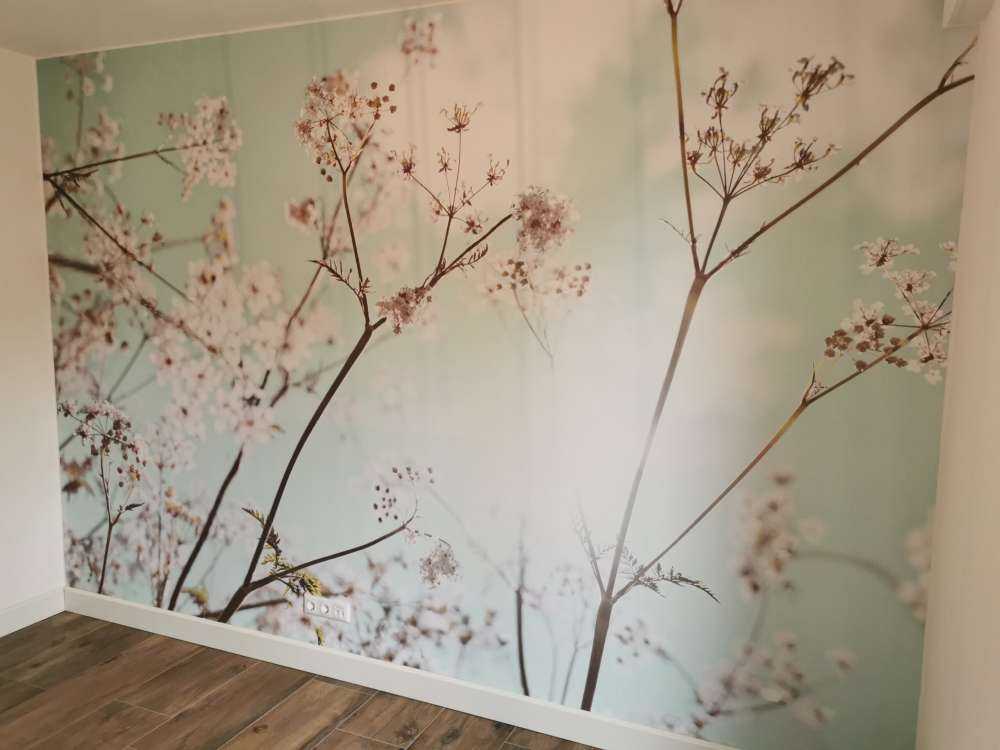 Mandelblomst i solen