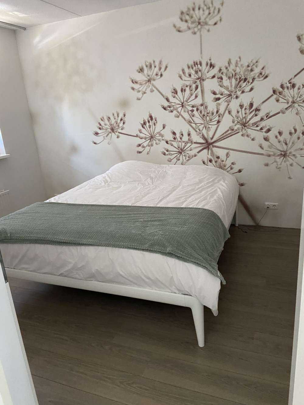 Nærbillede af ko persille