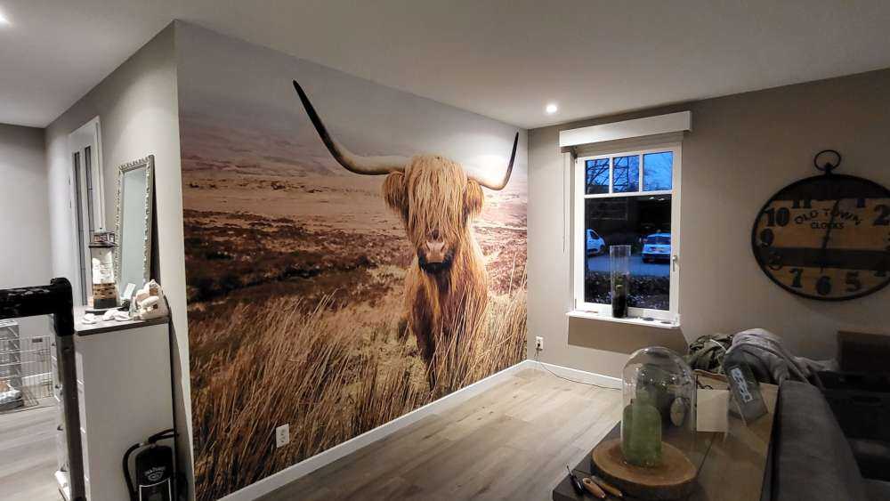 Skotsk hoglandare med vass