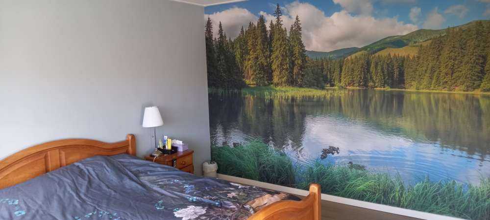 Sjön i skogen