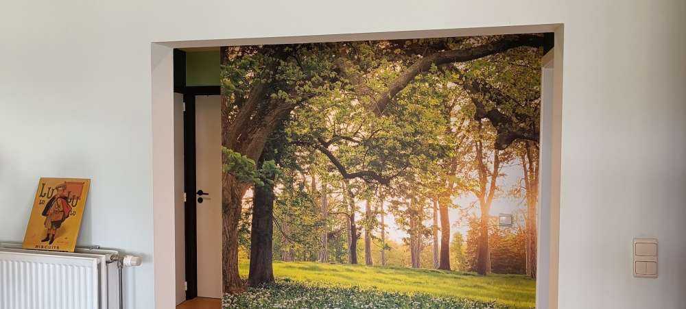 Åpen plass i skogen