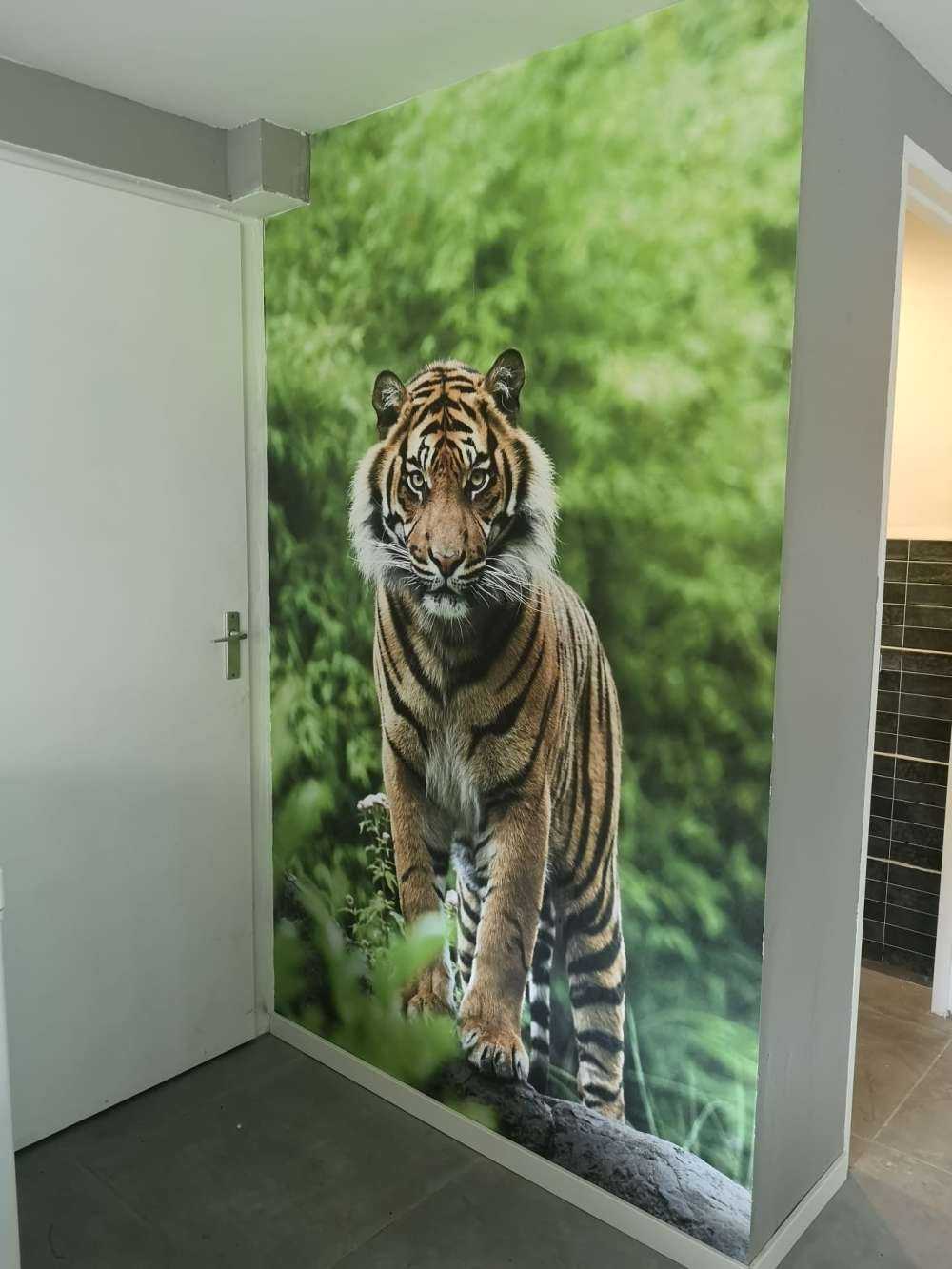 Tiger som står på en stein