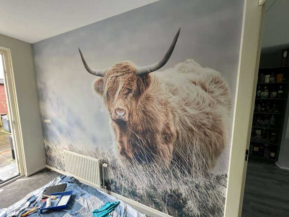 Det skotske høylandet i naturen