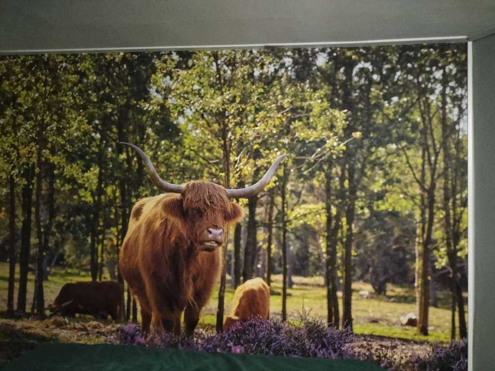 hoglandare i naturreservat