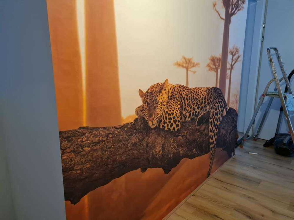 Sovende leopard