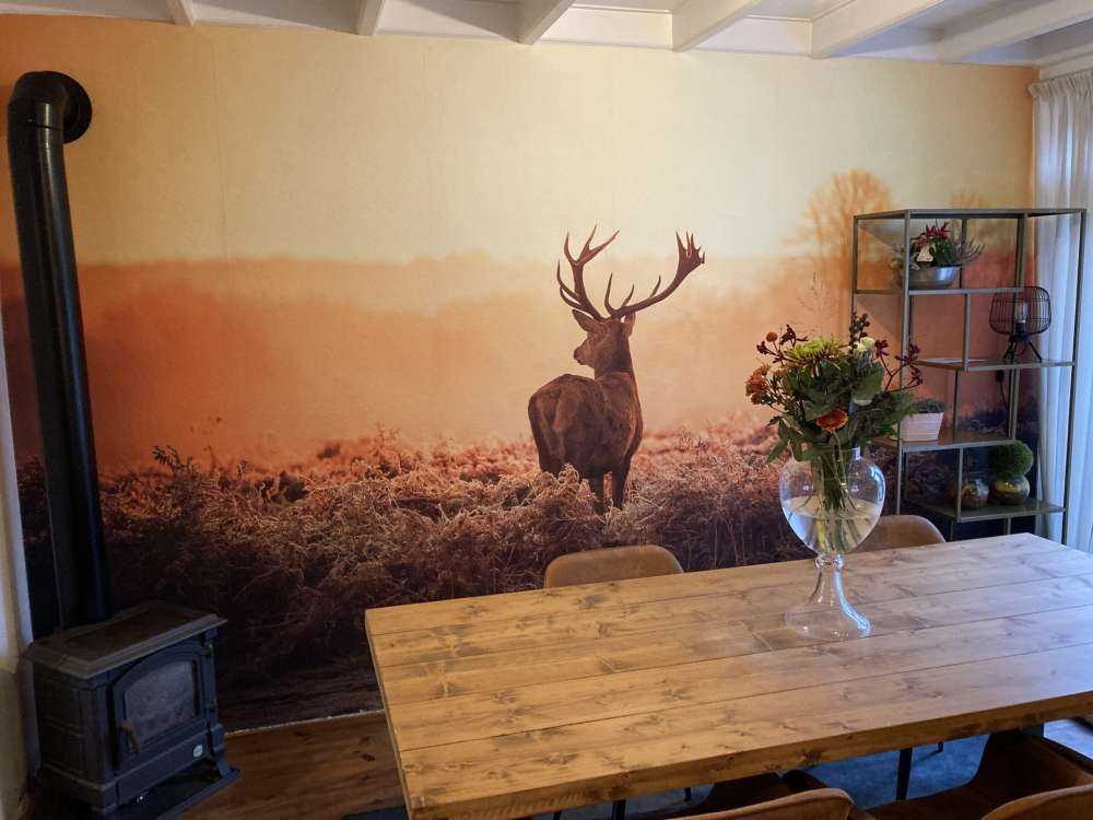 Hert bij zonsopkomst