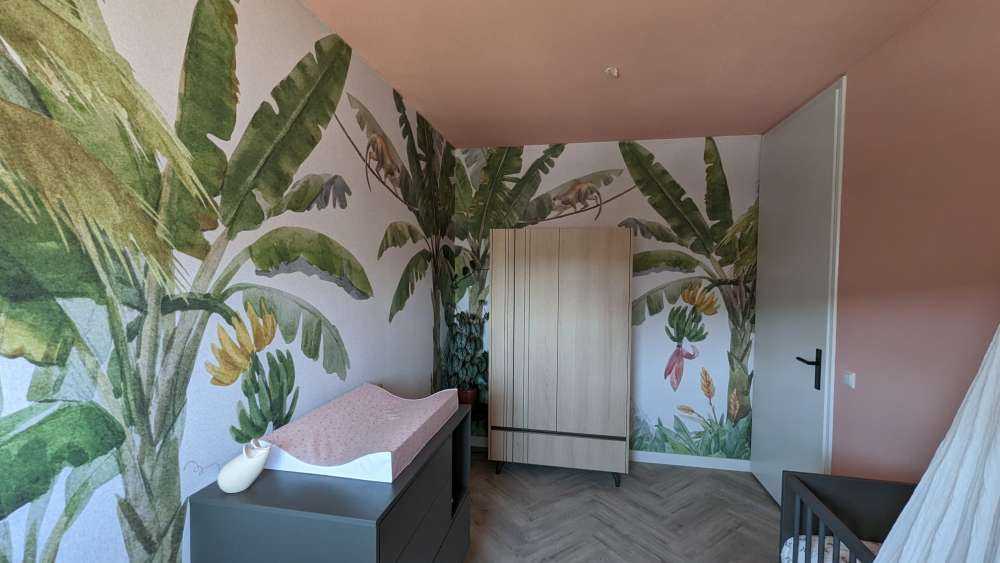 Jungle med farverige dyr