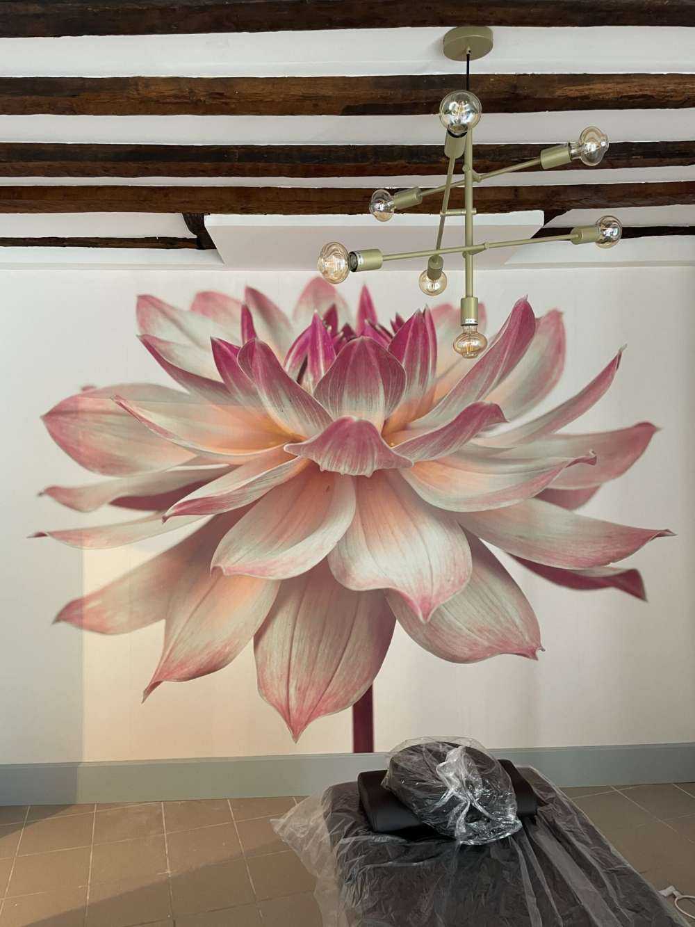 Dahlia blomst