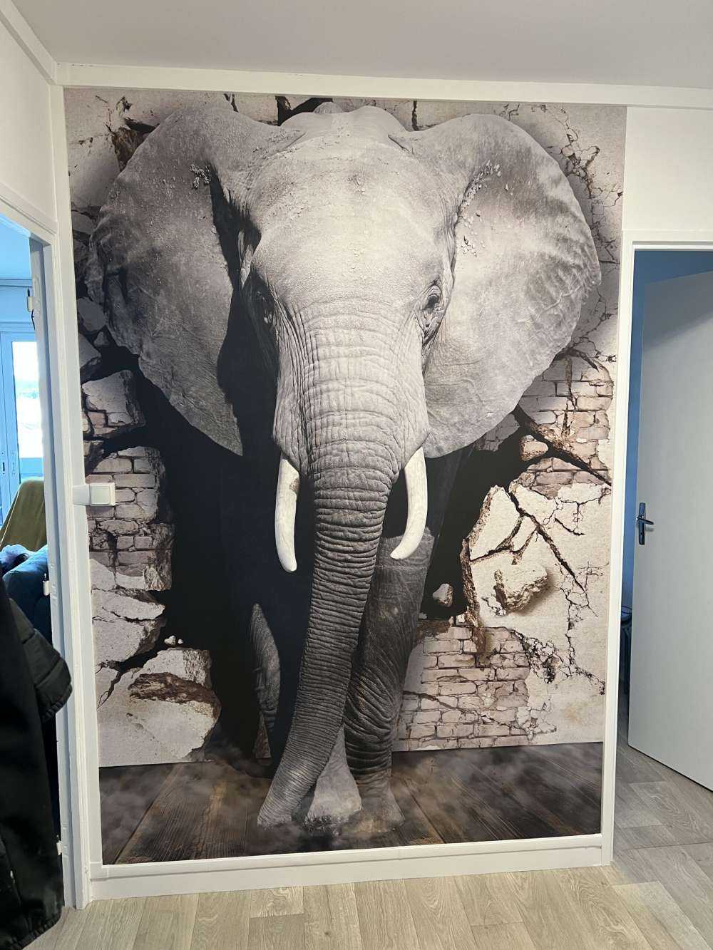 3D elefant fra veggen