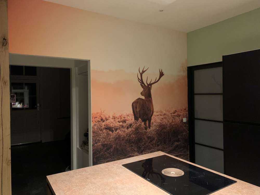 Hert bij zonsopkomst