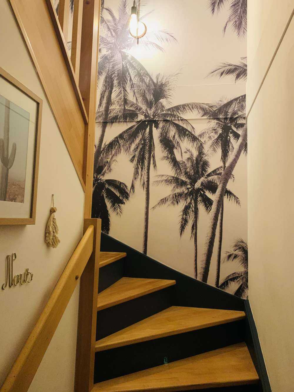 Palmer i sort og hvidt