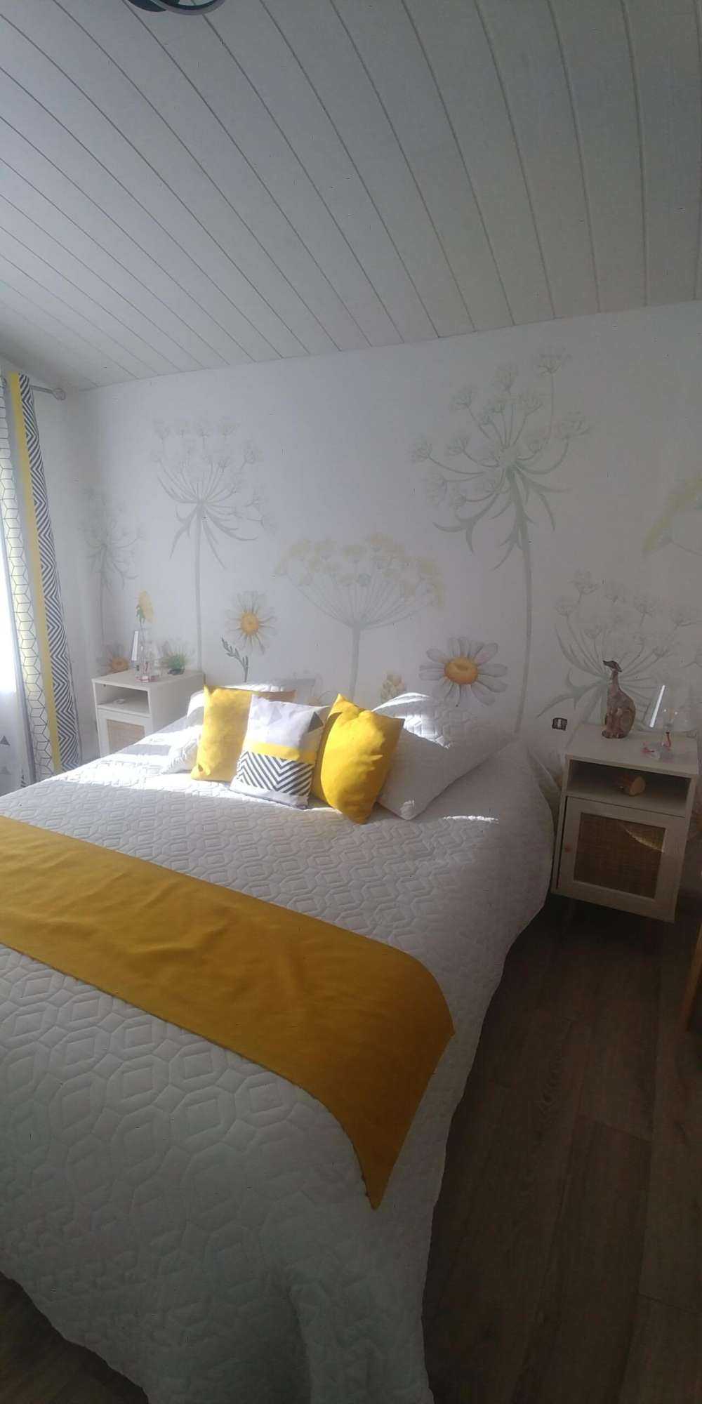 Dazzling Daisies - White