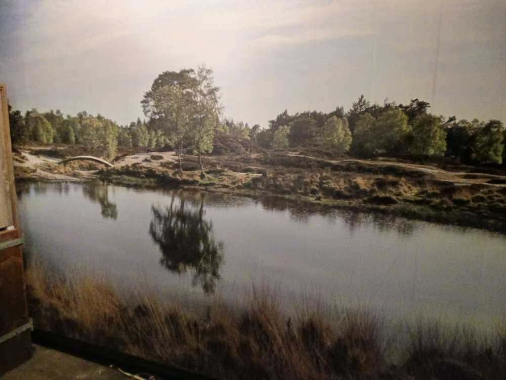 En liten skogsjø i lyngområdet