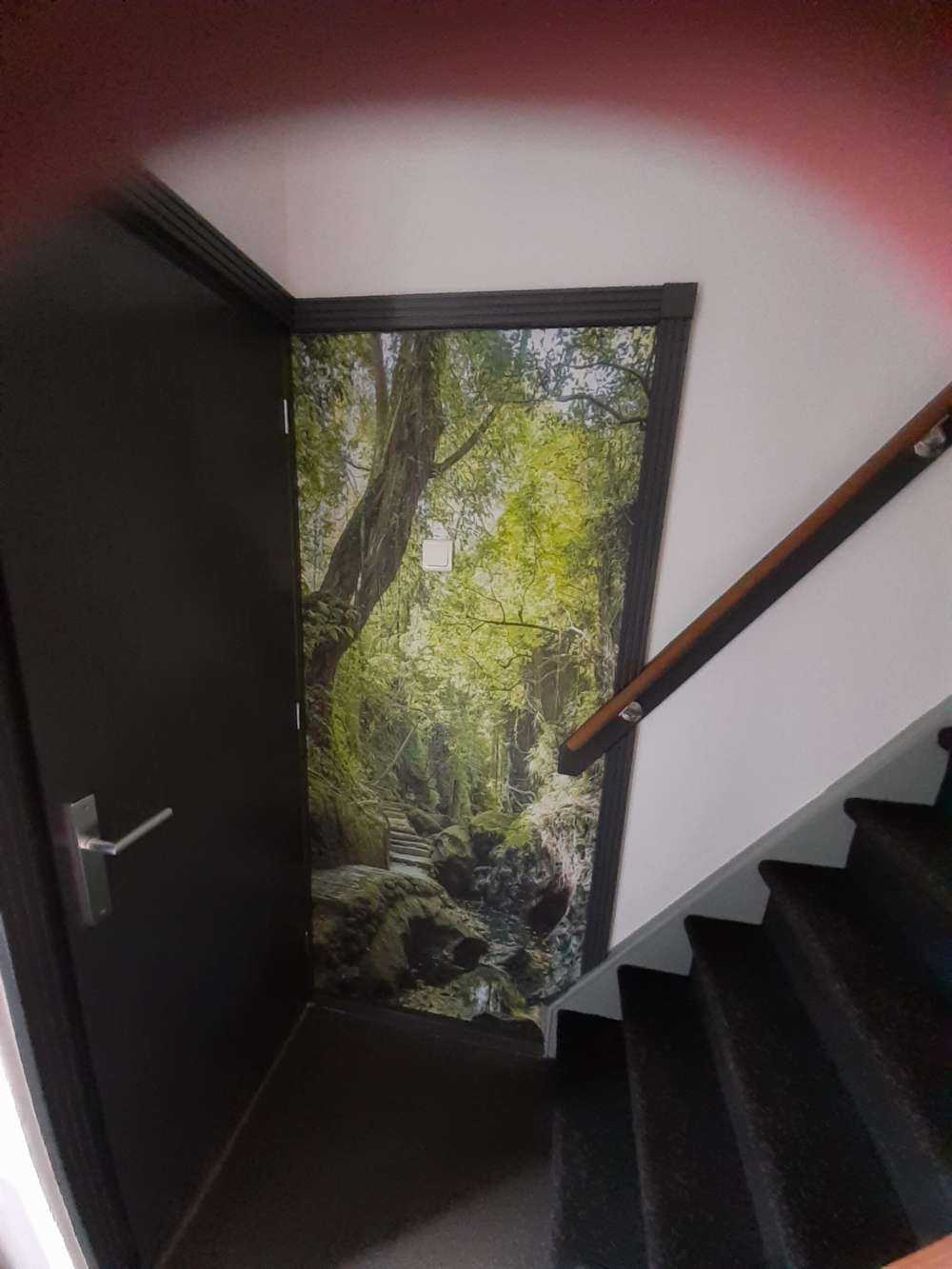 Sti gjennom jungelen