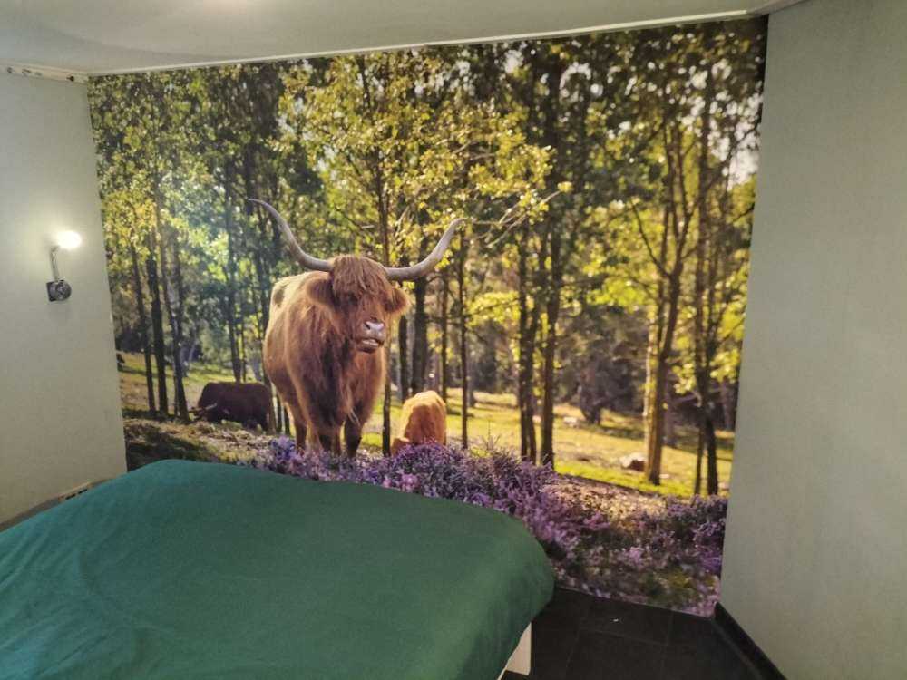 høyland i naturreservat