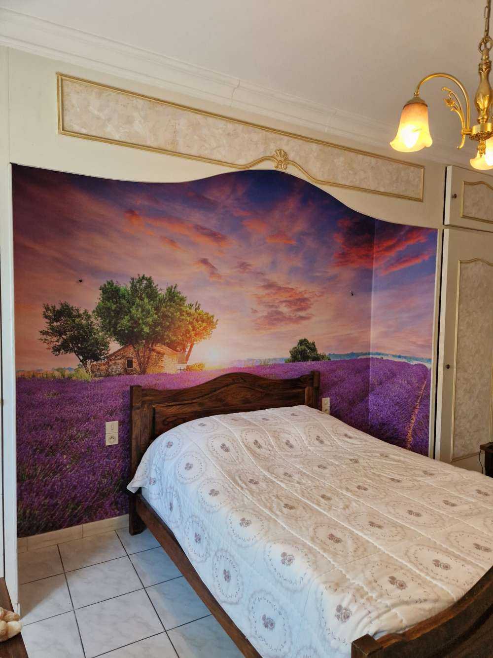 Lavendelåker under soloppgang