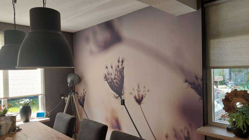 Silhuetter av växter