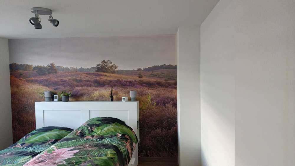 Hedmarker vid soluppgång