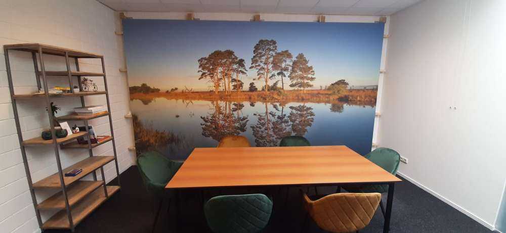 Reflexipå i skogsjön