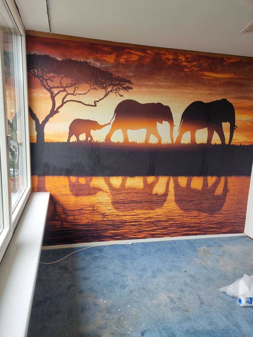 Elefanter i savannen