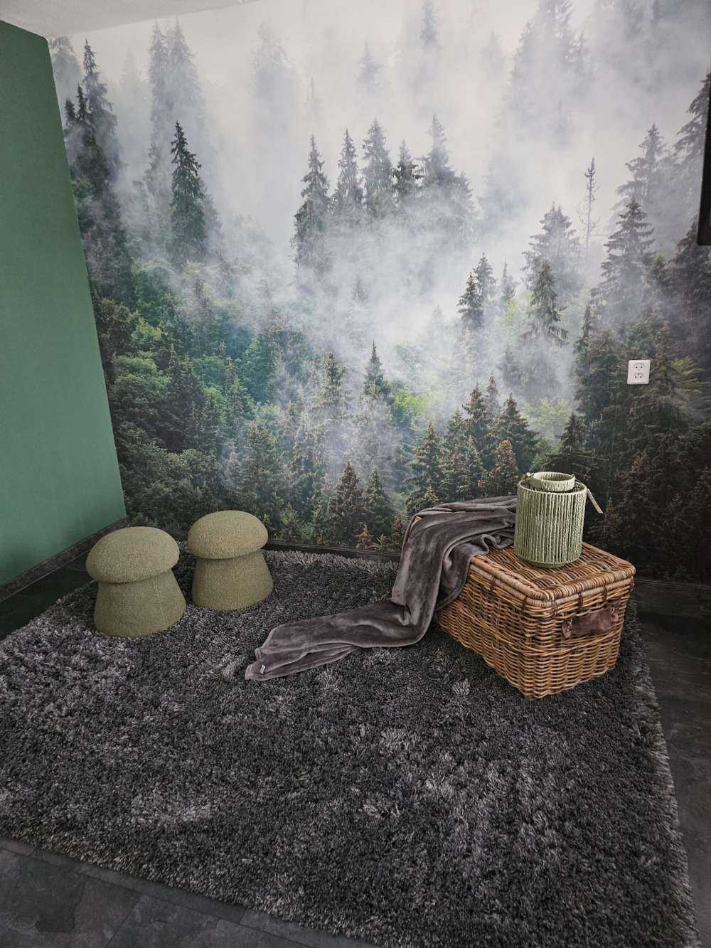 Dimmigt landskap med gröna träd