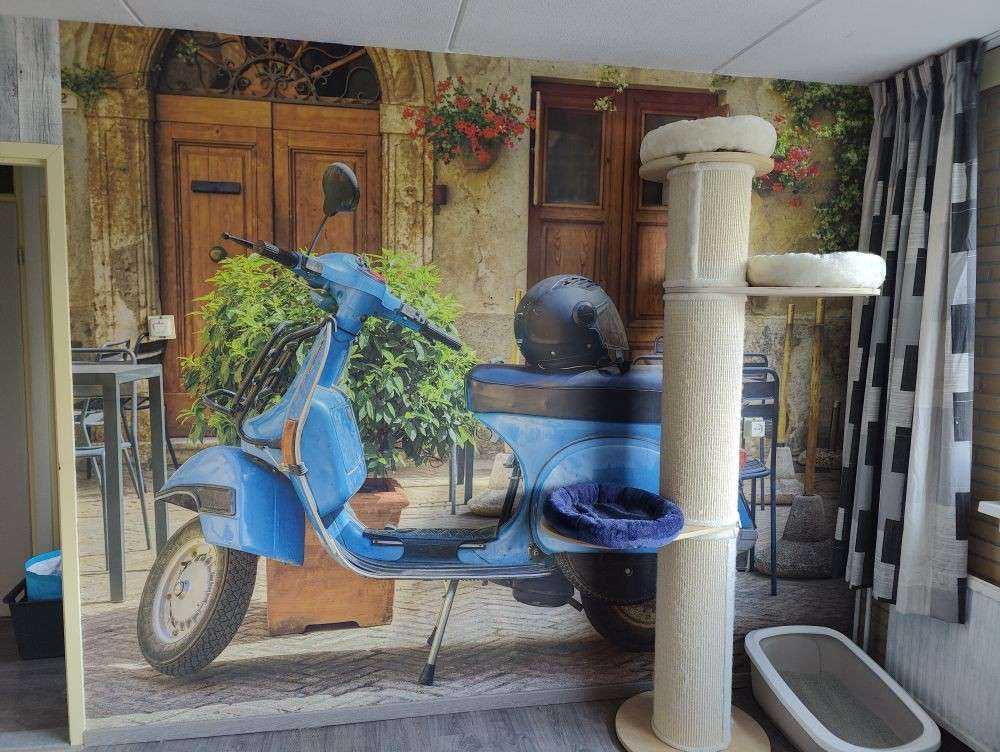 Blå scooter
