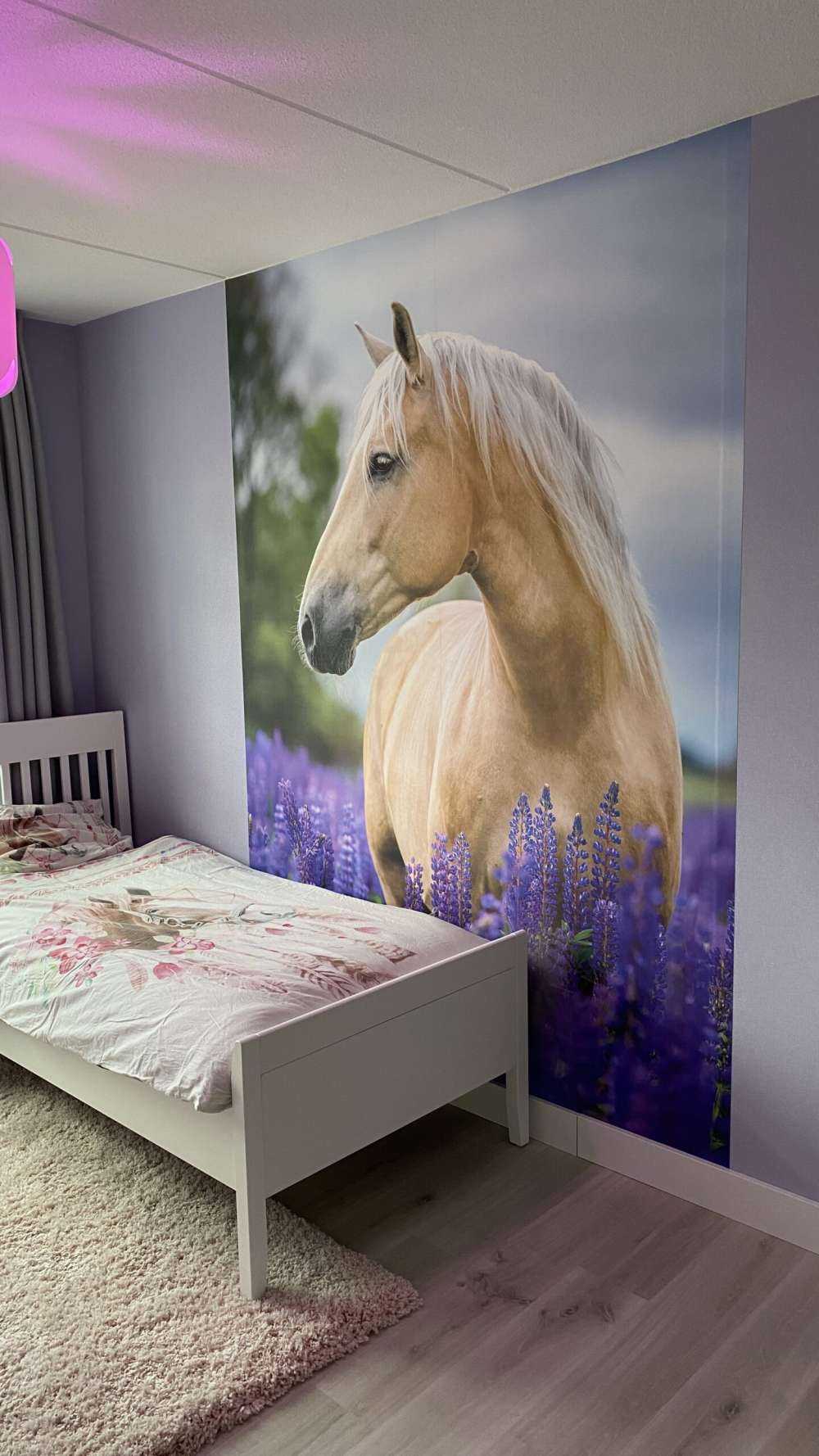 Hest blandt sommerfuglblomsterne