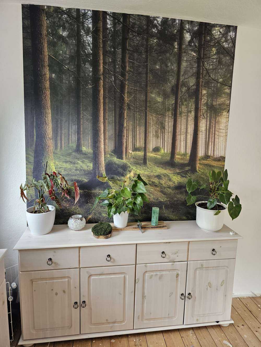 A sense of spring
