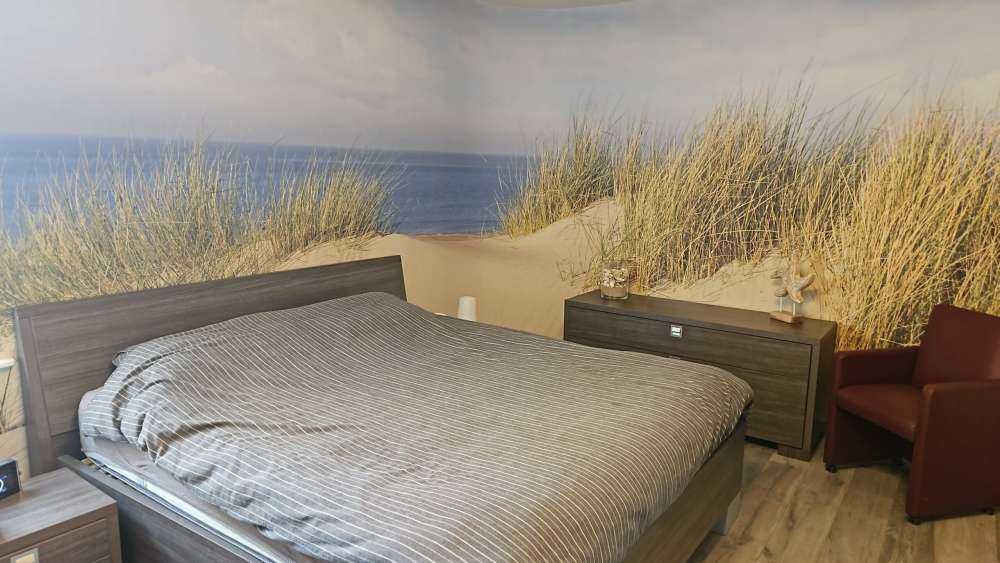 Dune går til stranden