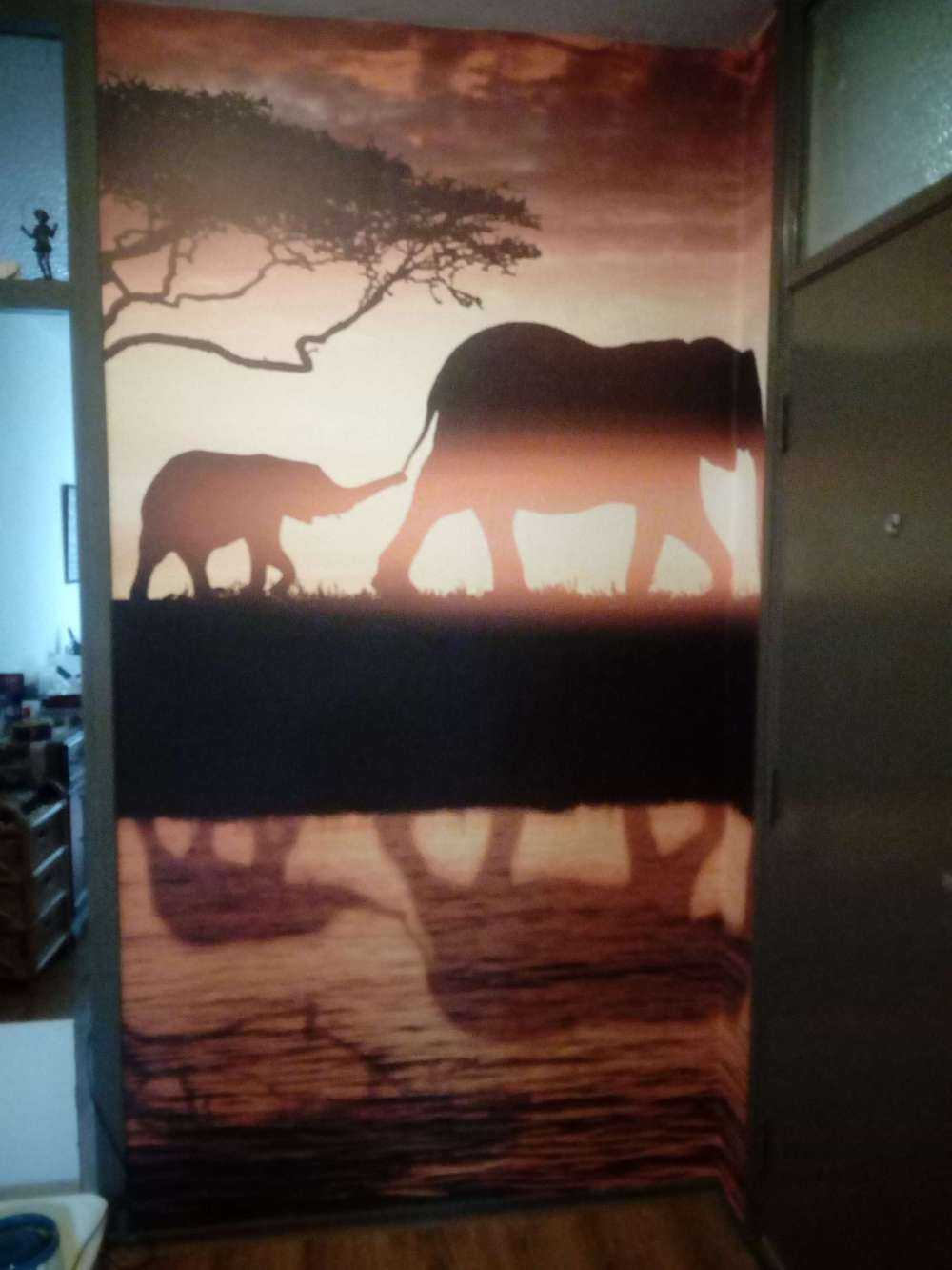 Elefanter i savannen