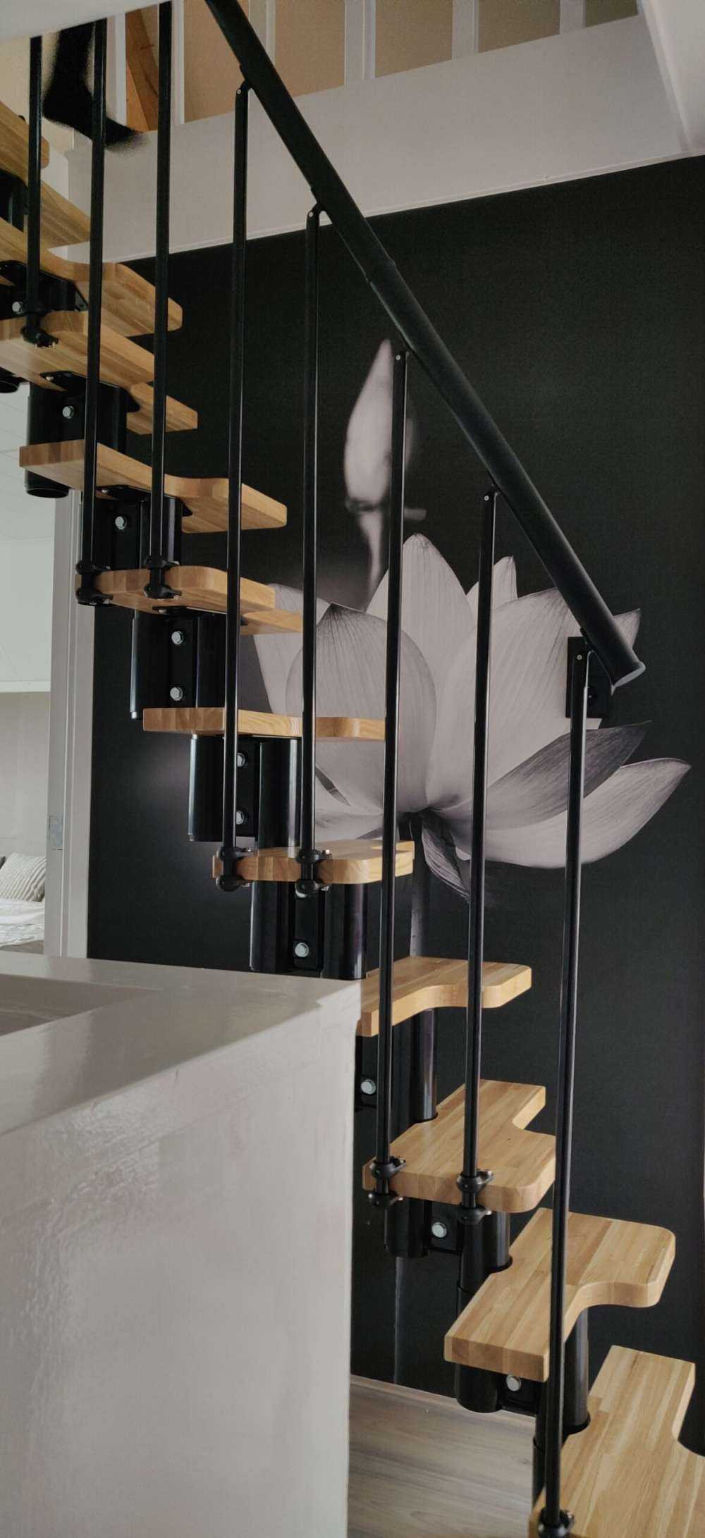 Lotus blommar svartvitt