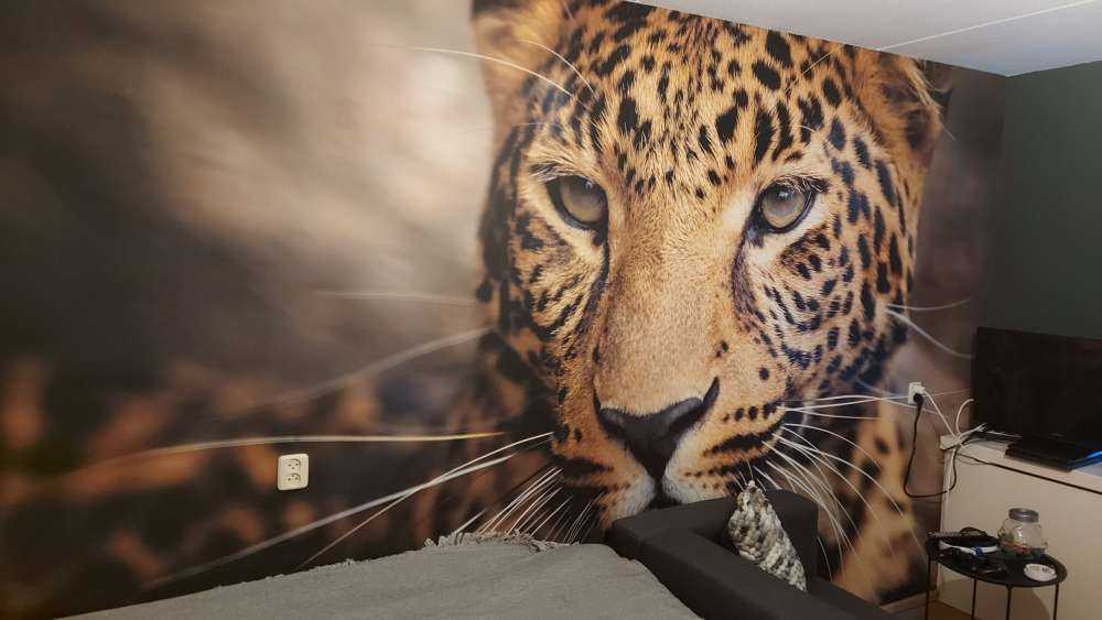 Närbild på en leopard